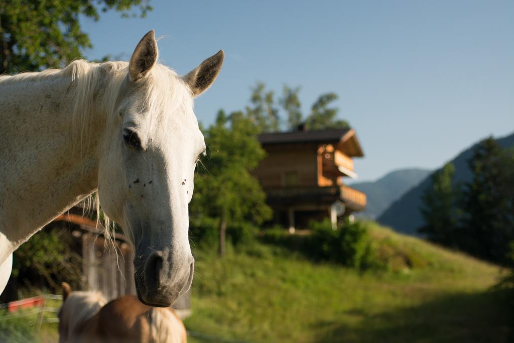 Ferienhaus Oetztal Hotel Sautens Exterior photo